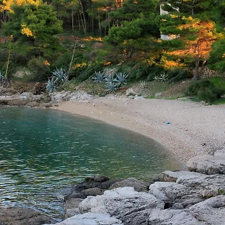 By The Sea - 8875 公寓 *